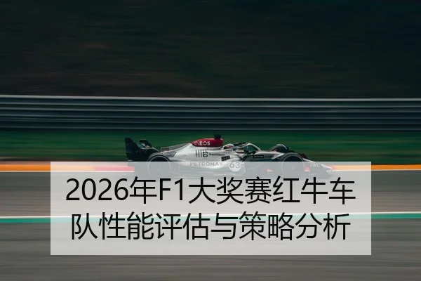 nian-da-jiang-sai-hong-niu-che-dui-xing-neng-ping-gu-yu-ce-lve-fen-xi-2-736.jpg