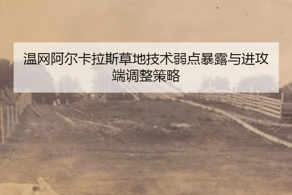 温网阿尔卡拉斯草地技术弱点暴露与进攻端调整策略