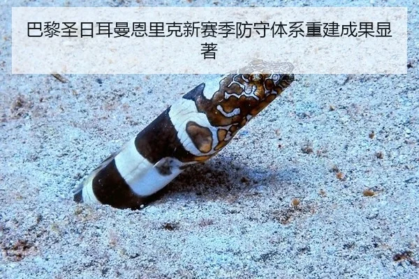 ba-li-sheng-ri-er-man-en-li-ke-xin-sai-ji-fang-shou-ti-xi-chong-jian-cheng-guo-xian-zhu-2-397.jpg