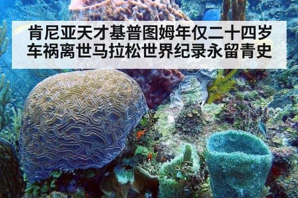 肯尼亚天才基普图姆年仅二十四岁车祸离世马拉松世界纪录永留青史
